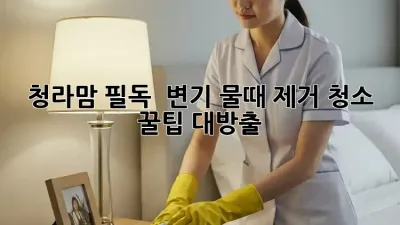 청라맘 필독! ✨ 변기 물때 제거 청소, 꿀팁 대방출! 🚽💦