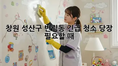 창원 성산구 반림동 긴급 청소, 당장 필요할 때!